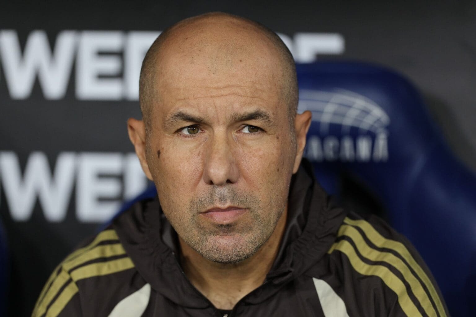 Leonardo Jardim sentado no banco antes de Flamengo x Estudiantes