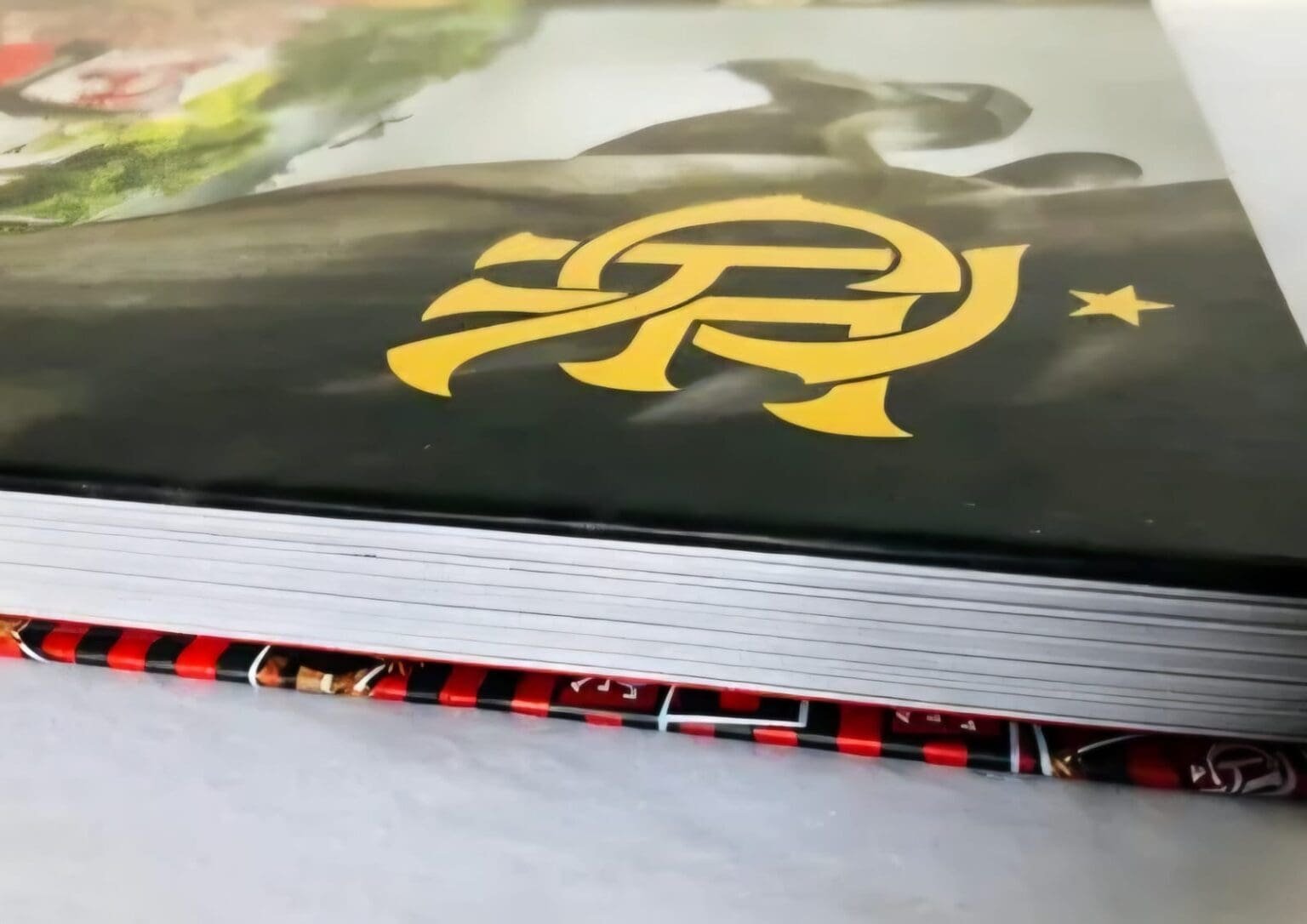 O Flamengo que se escreve: diferentes formas de transformar paixão em literatura Livro do Flamengo