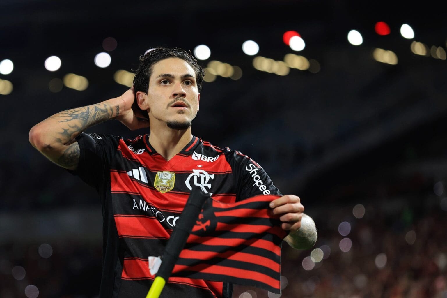Maiores goleadas do Flamengo: chocolates que marcaram história do Rubro-Negro Pedro comemora gol do Flamengo na goleada por 8 a 0 sobre o Vitória; uma das maiores goleadas do flamengo
