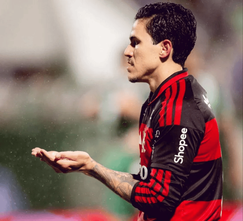 Pedro explica comemoração em Libras contra Chapecoense Pedro comemora gol pelo Flamengo