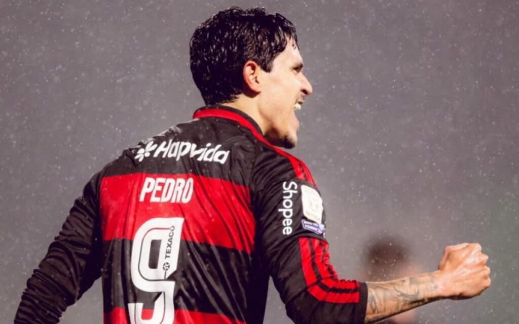 pedro chapecoense flamengo