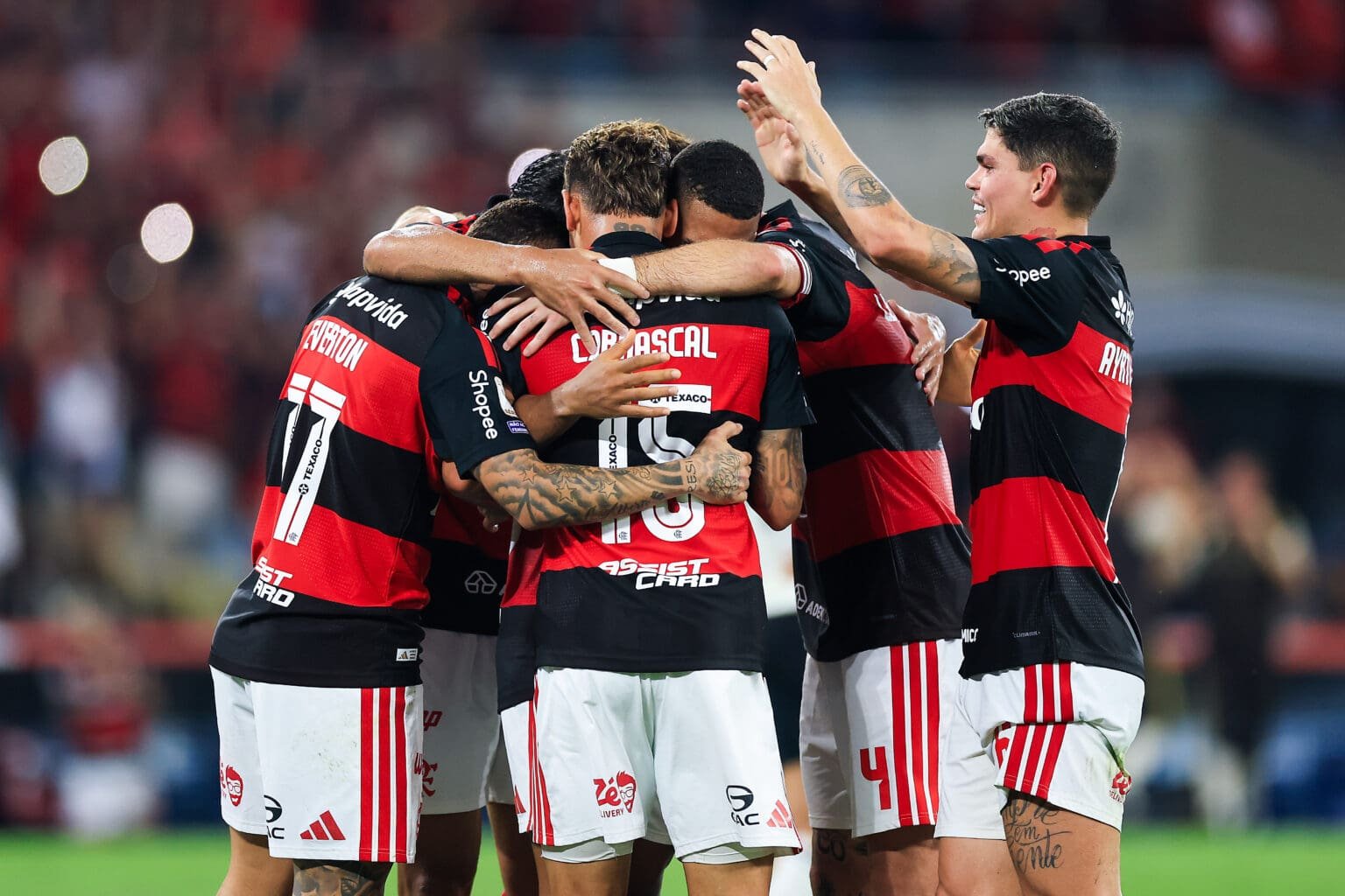 Flamengo comemora gol no Brasileirão