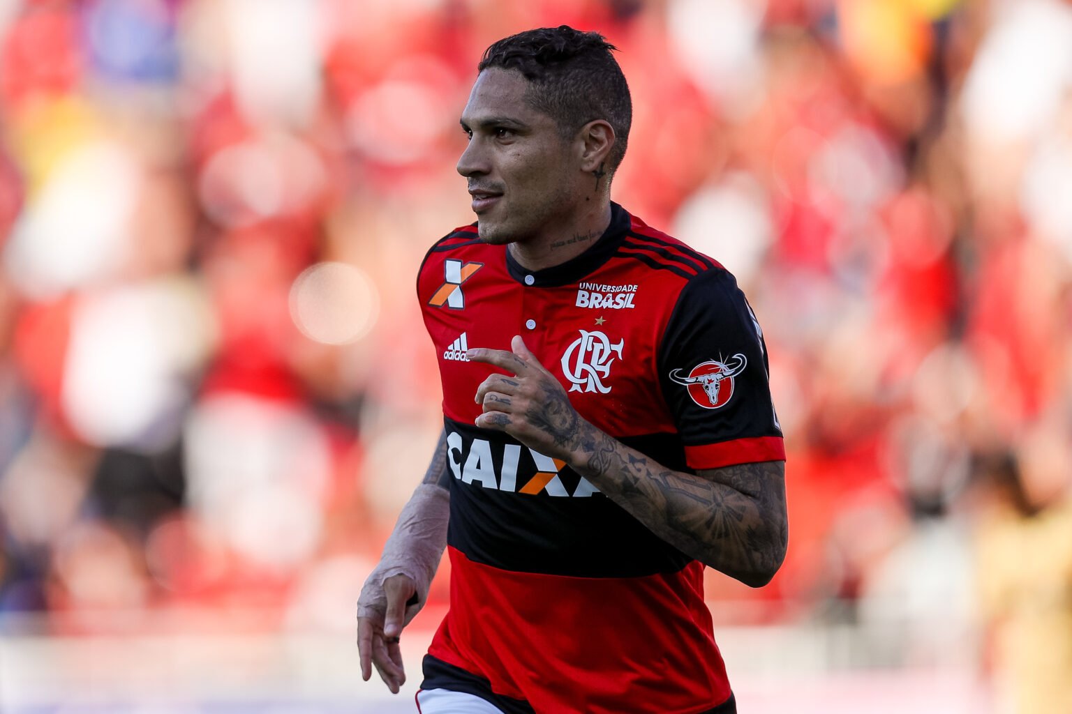 Paolo Guerrero em campo pelo Flamengo