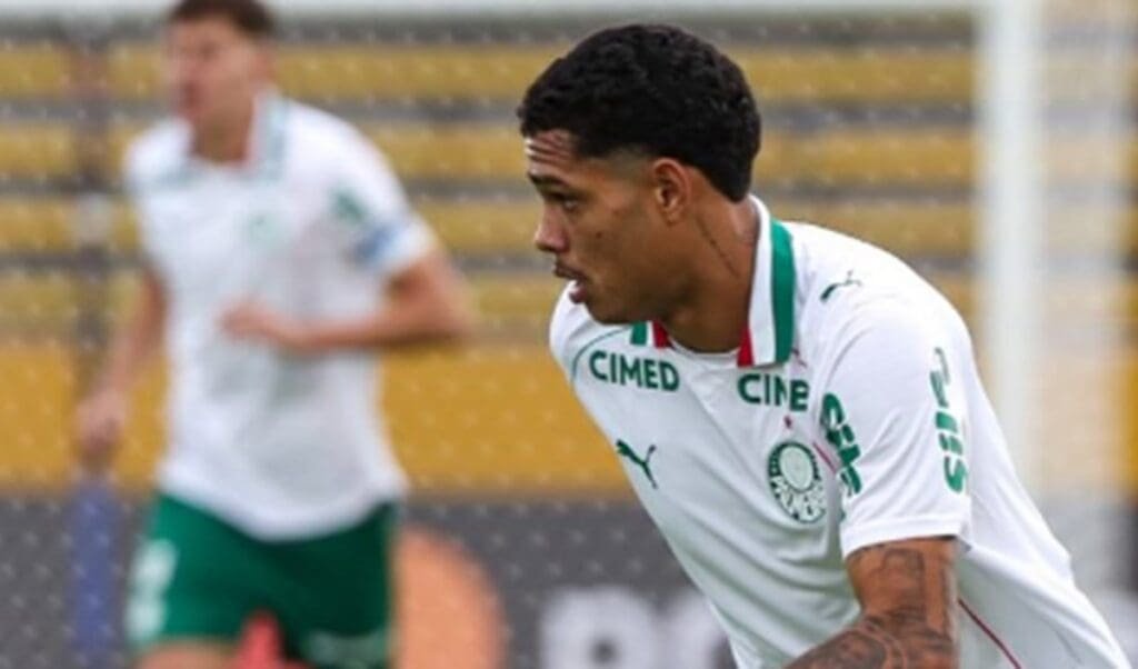 juliano vieira palmeiras flamengo