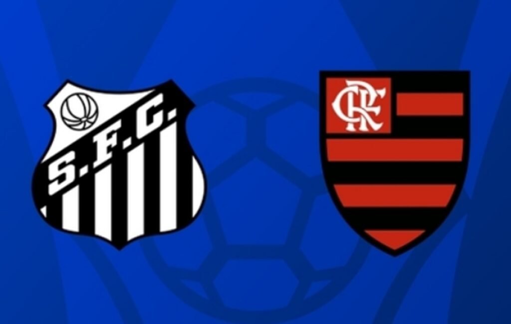 santos flamengo brasileirão